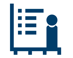 Spreadsheets (advanced)*